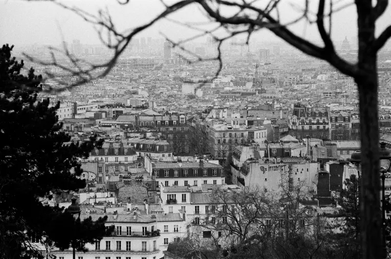 Rooftops of Paris