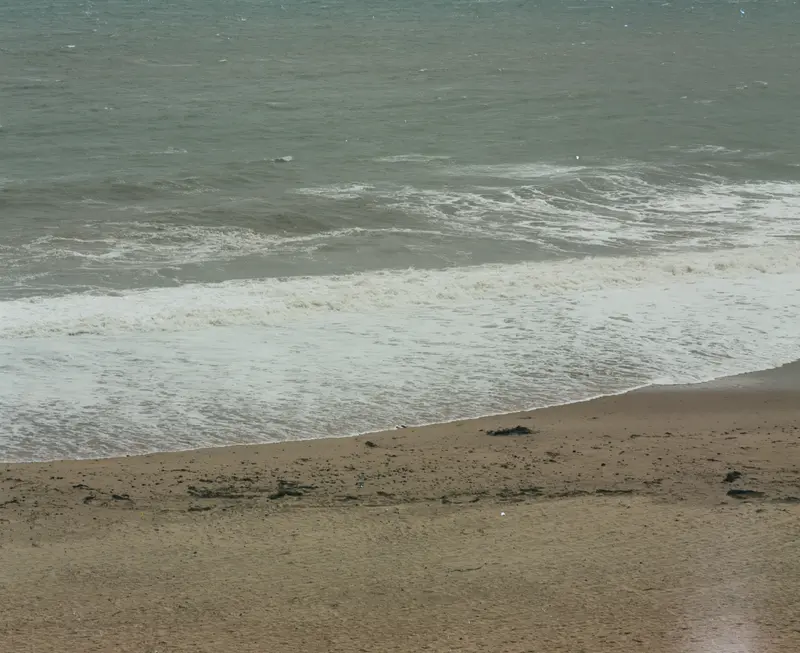Shoreline