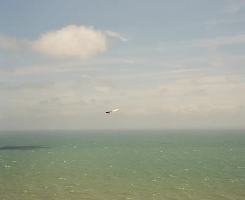 Open sea
