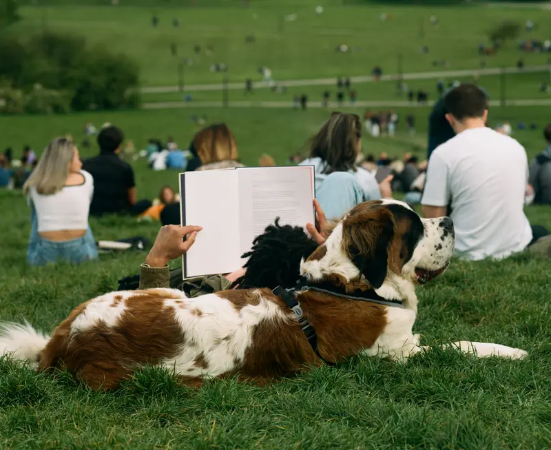 Sunday in the park
