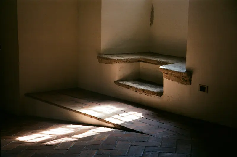 Afternoon light