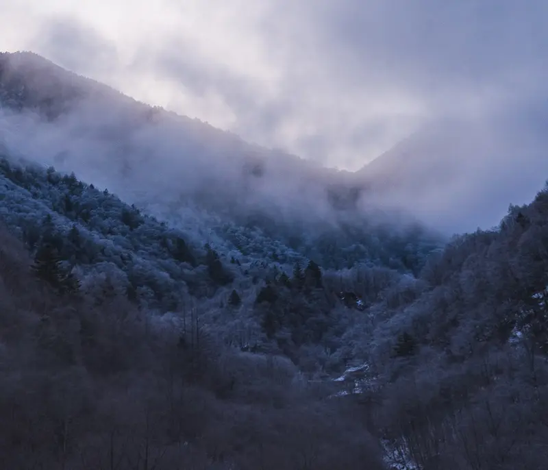 Frost on the mountain